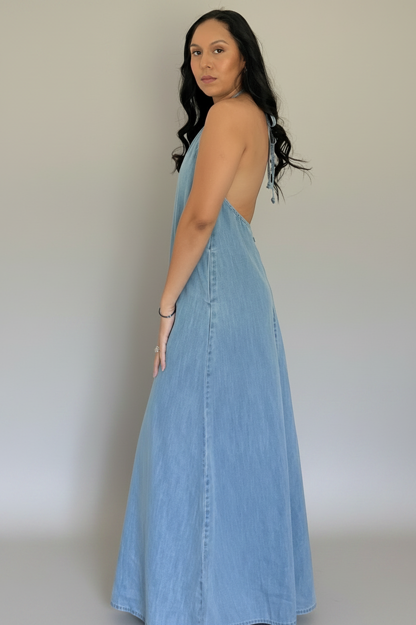 Eva Halter Denim Maxi Dress