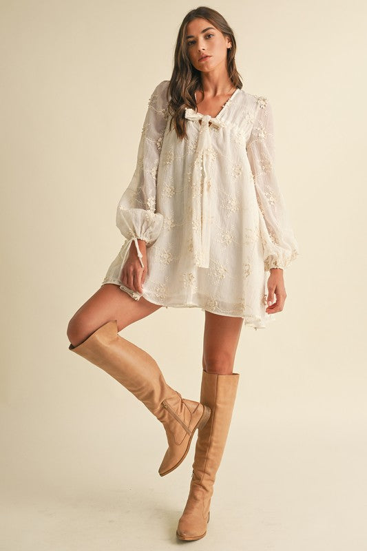 Ivory Embroidered Long Sleeve Mini Dress